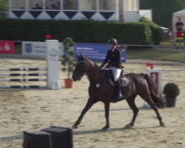 Reitturnier Heinsberg 2019
