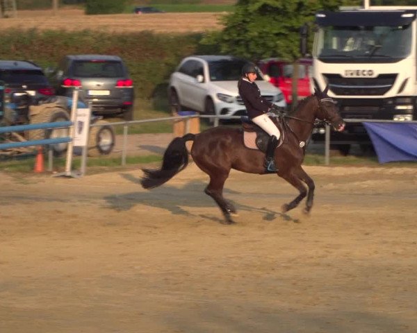 Reitturnier Heinsberg 2019