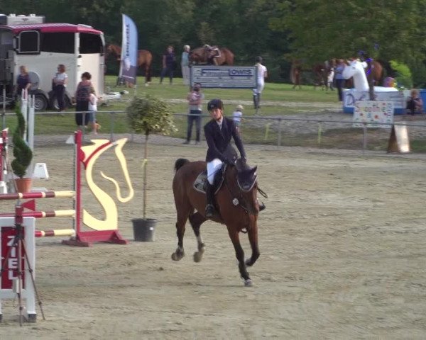 Reitturnier Heinsberg 2019