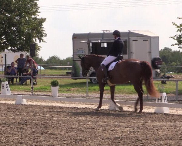 Reitturnier Heinsberg 2019