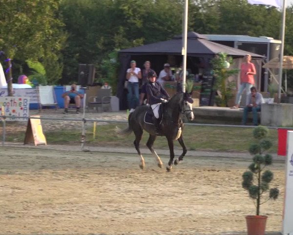 Reitturnier Heinsberg 2019