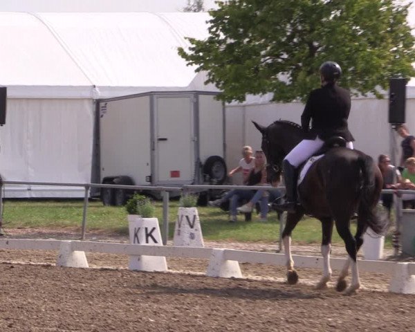 Reitturnier Heinsberg 2019