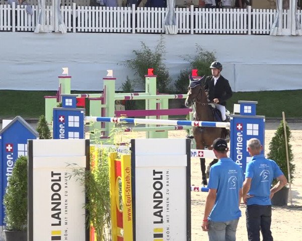 Reitturnier Humlikon 2019