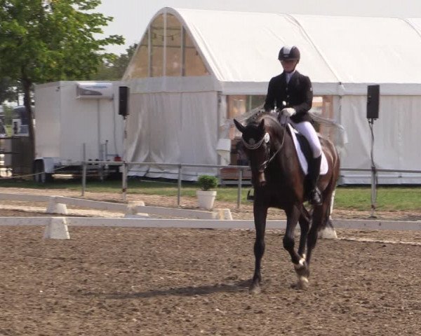 Reitturnier Heinsberg 2019