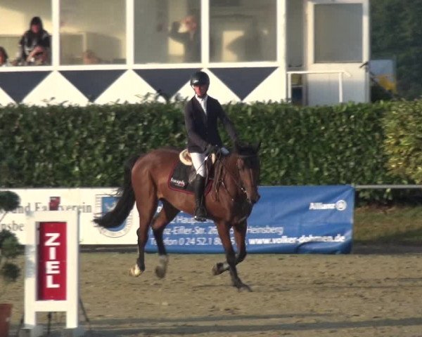 Reitturnier Heinsberg 2019