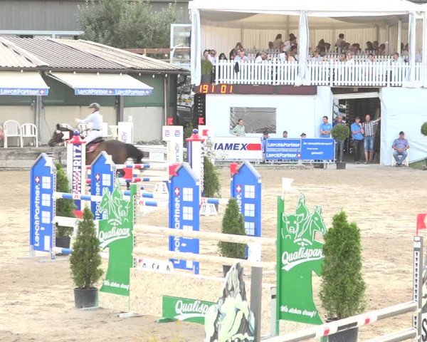 Reitturnier Humlikon 2019