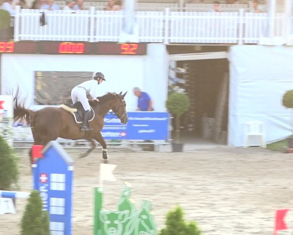 Reitturnier Humlikon 2019