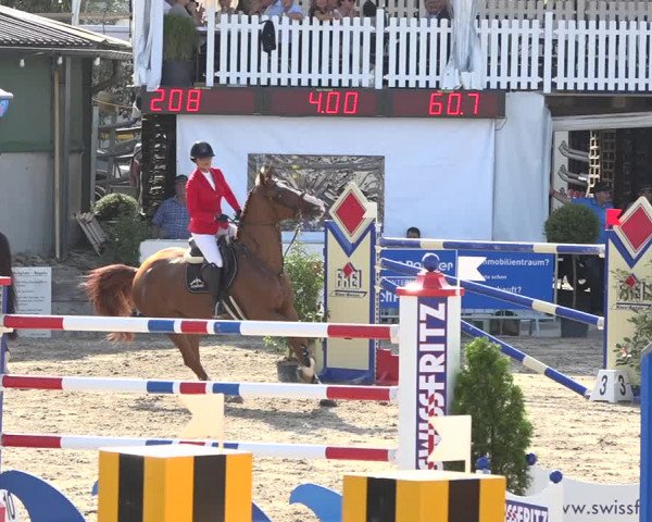 Reitturnier Humlikon 2019