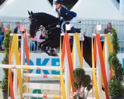Springpferd Penelope SG (Deutsches Reitpony, 2011, von Pilatus)