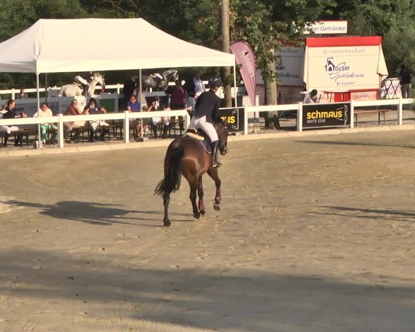 Reitturnier Hauerz 2019