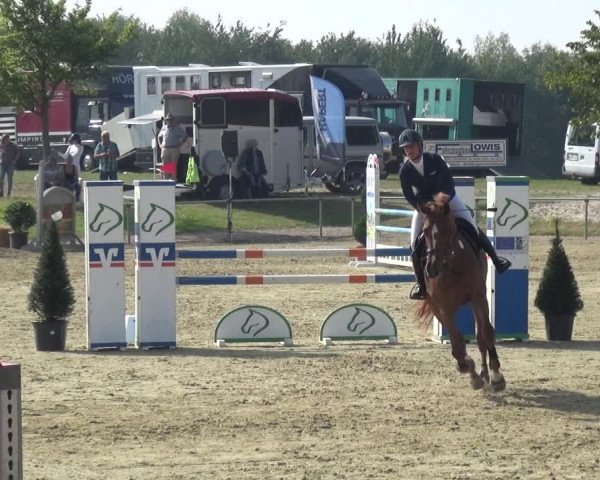 Reitturnier Heinsberg 2019