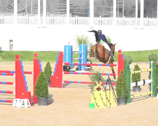 Reitturnier Humlikon 2019