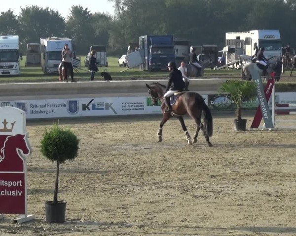 Reitturnier Heinsberg 2019
