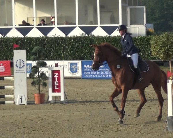 Reitturnier Heinsberg 2019
