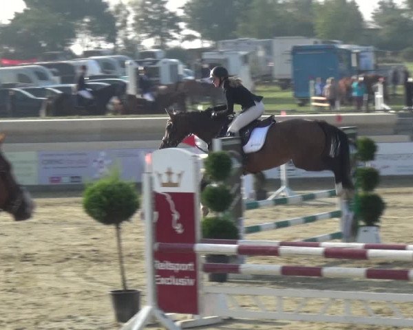 Reitturnier Heinsberg 2019