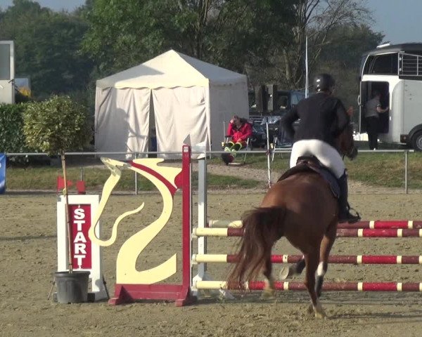 Reitturnier Heinsberg 2019