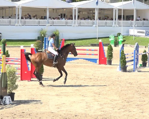 Reitturnier Humlikon 2019