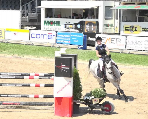 Reitturnier Humlikon 2019