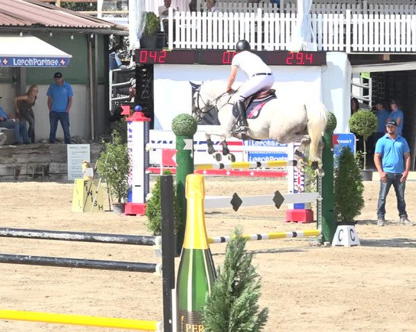 Reitturnier Humlikon 2019