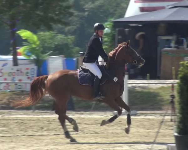 Reitturnier Heinsberg 2019