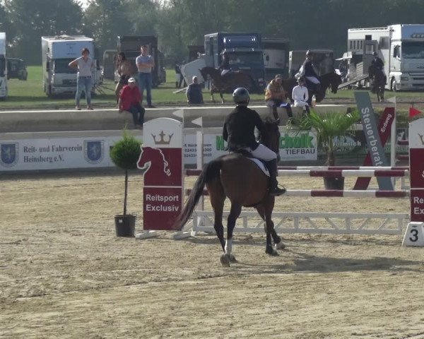 Reitturnier Heinsberg 2019