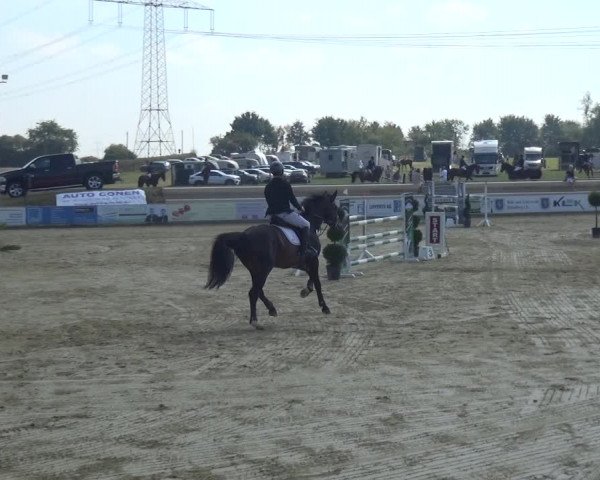 Reitturnier Heinsberg 2019