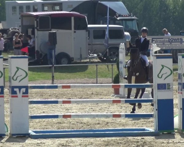 Reitturnier Heinsberg 2019