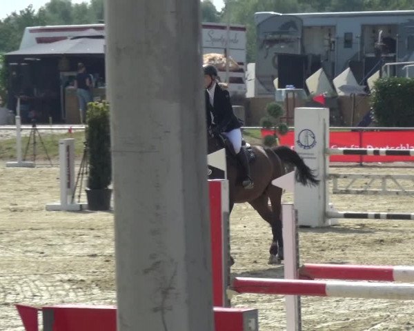 Reitturnier Heinsberg 2019