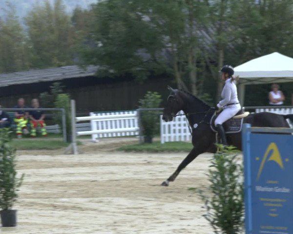 Reitturnier Bühren-Breckerfeld 2019