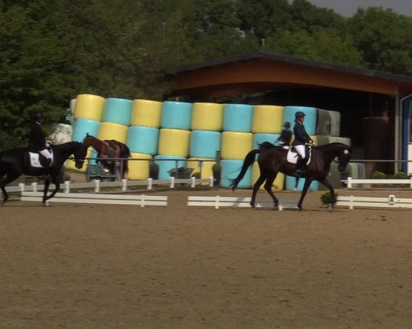 Reitturnier Bühren-Breckerfeld 2019