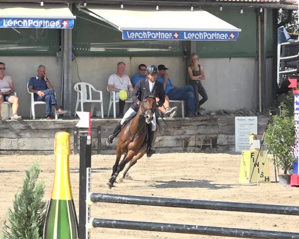 Reitturnier Humlikon 2019