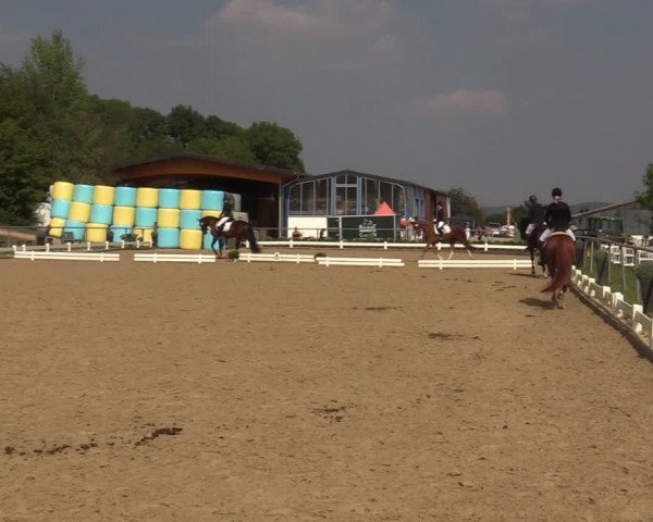 Reitturnier Bühren-Breckerfeld 2019