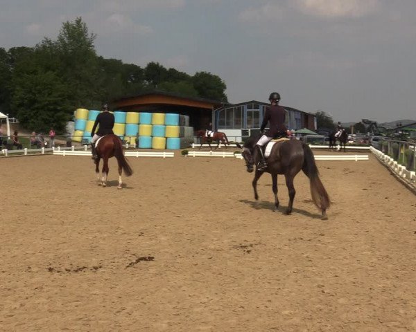 Reitturnier Bühren-Breckerfeld 2019