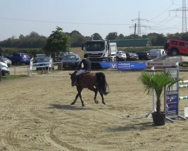 Reitturnier Heinsberg 2019