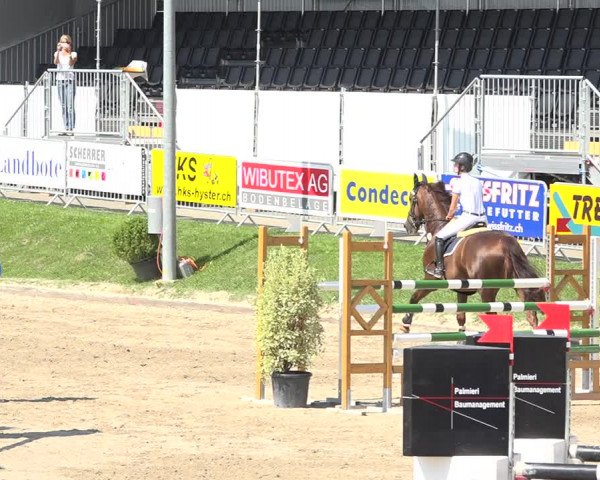 Reitturnier Humlikon 2019