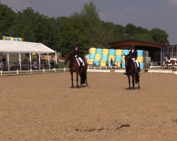 Reitturnier Bühren-Breckerfeld 2019