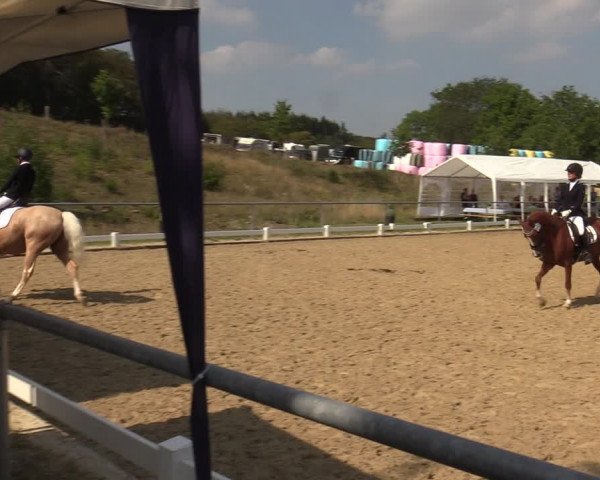 Reitturnier Bühren-Breckerfeld 2019