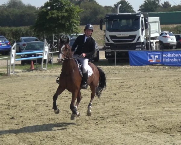 Reitturnier Heinsberg 2019