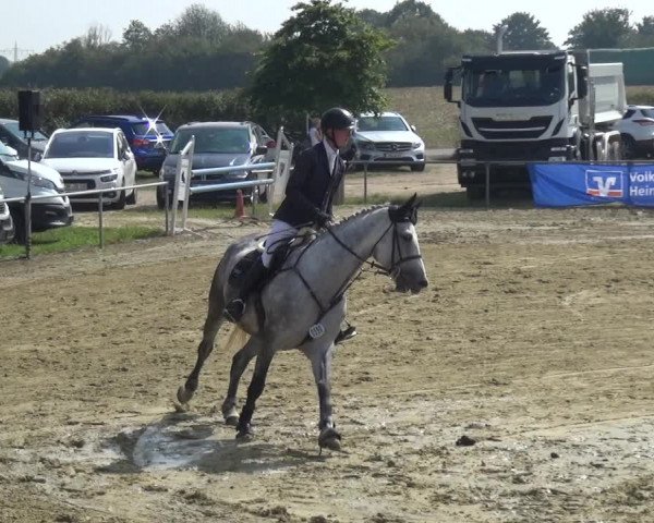 Reitturnier Heinsberg 2019