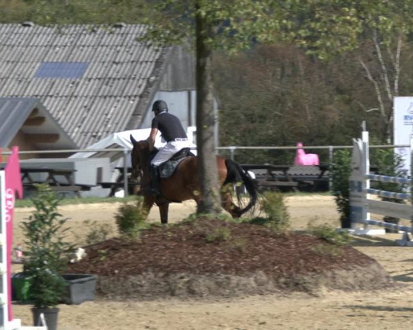 Reitturnier Bühren-Breckerfeld 2019
