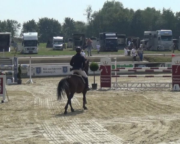 Reitturnier Heinsberg 2019
