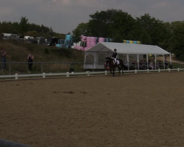 Reitturnier Bühren-Breckerfeld 2019