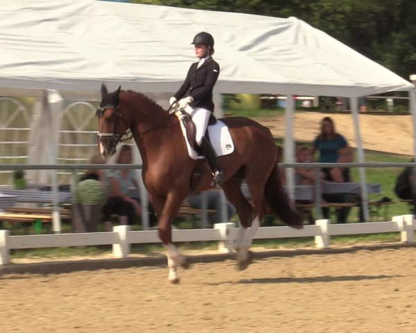 Reitturnier Bühren-Breckerfeld 2019