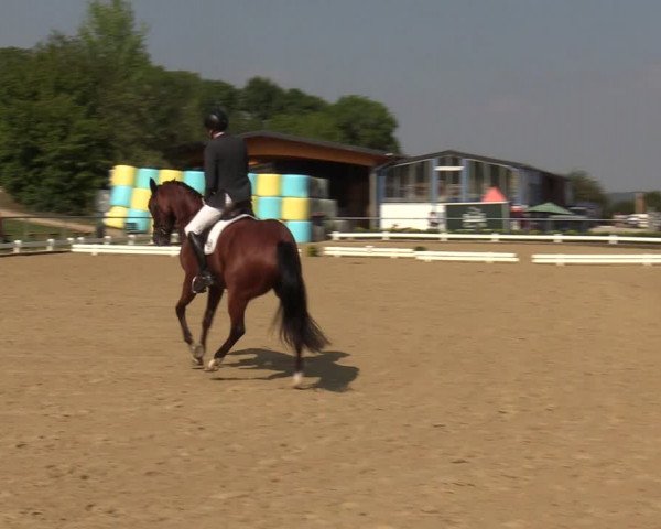 Reitturnier Bühren-Breckerfeld 2019