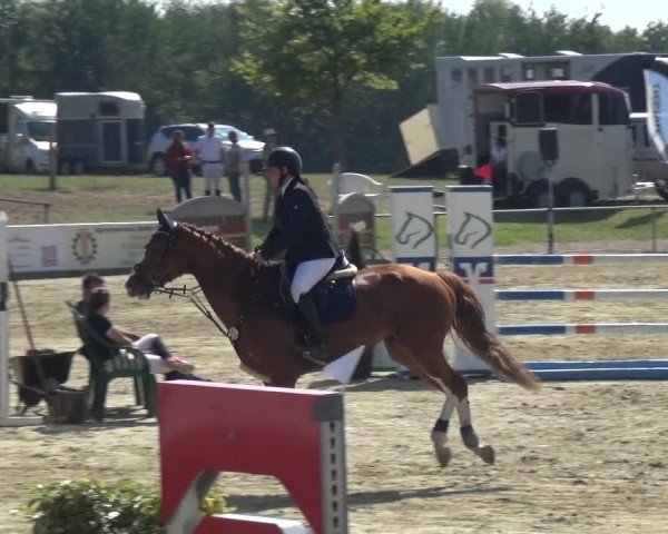 Reitturnier Heinsberg 2019
