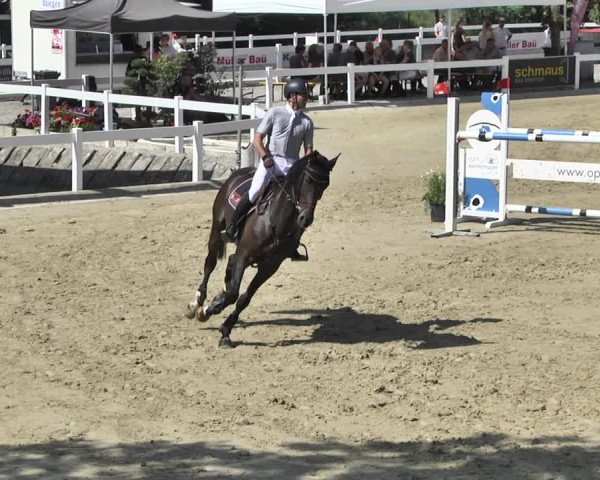 Reitturnier Hauerz 2019