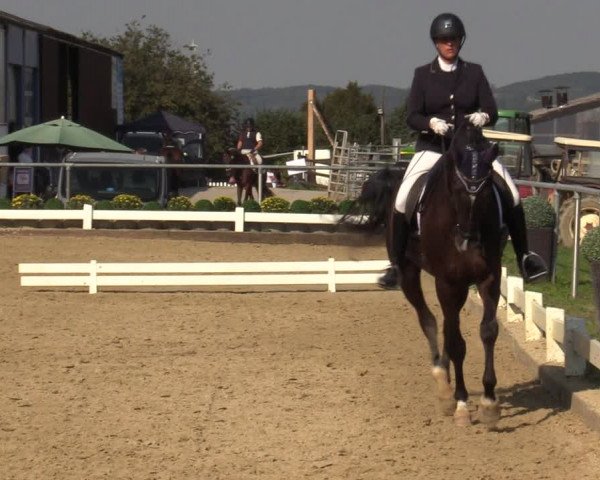 Reitturnier Bühren-Breckerfeld 2019