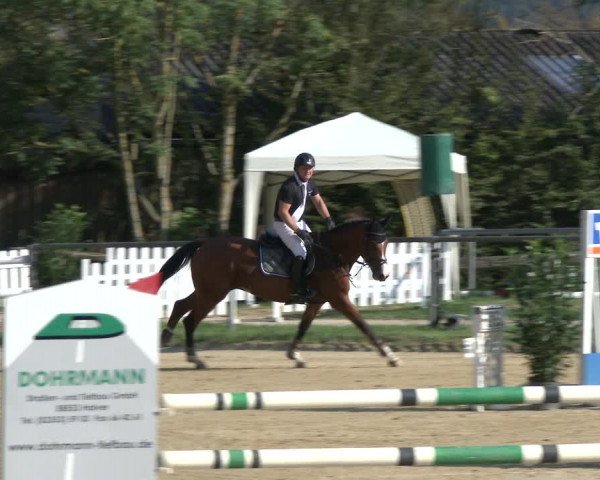 Reitturnier Bühren-Breckerfeld 2019