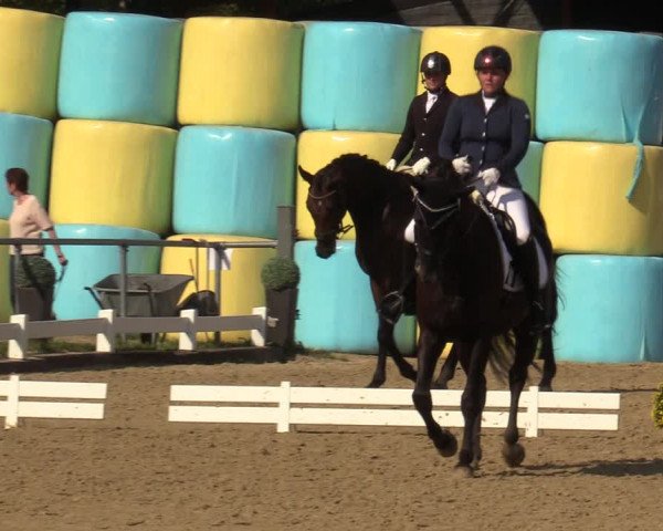 Reitturnier Bühren-Breckerfeld 2019