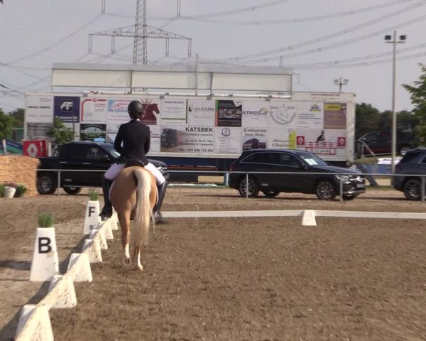 Reitturnier Heinsberg 2019